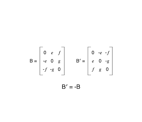 Skew Symmetry